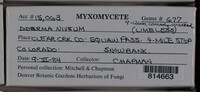 Image Associated With the Occurence